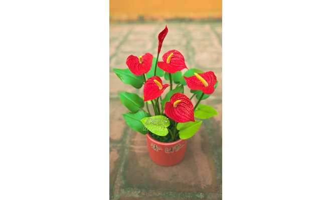 Clay flower making workshop