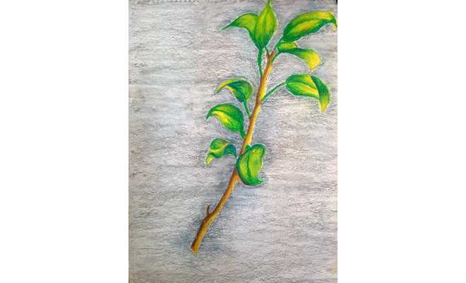 Drawing and Painting Workshop